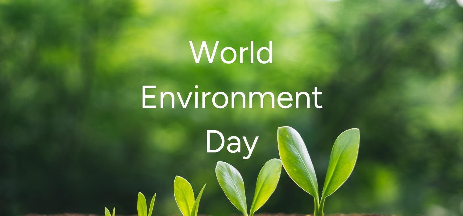 Let’s Switch Up The Sustainability Talk, This World Environment Day 2023 ecoright