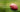 Super Bowl LIX: More Than Just a Game - Ecoright