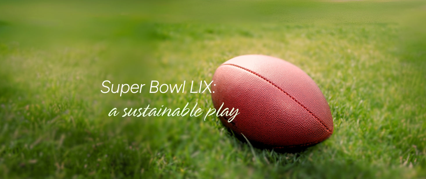 Super Bowl LIX: More Than Just a Game