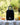 insulated lunch bags, lunch kit for adults, tiffin carry bag, online tiffin bag, corporate gifting
