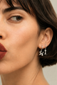 comie earring