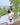 Mobile sling purse, Mobile Pouch, Passport holder, Sling bag for ladies, Gifts for girlfriend, Ecoright