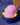 Sugar Rush Cap