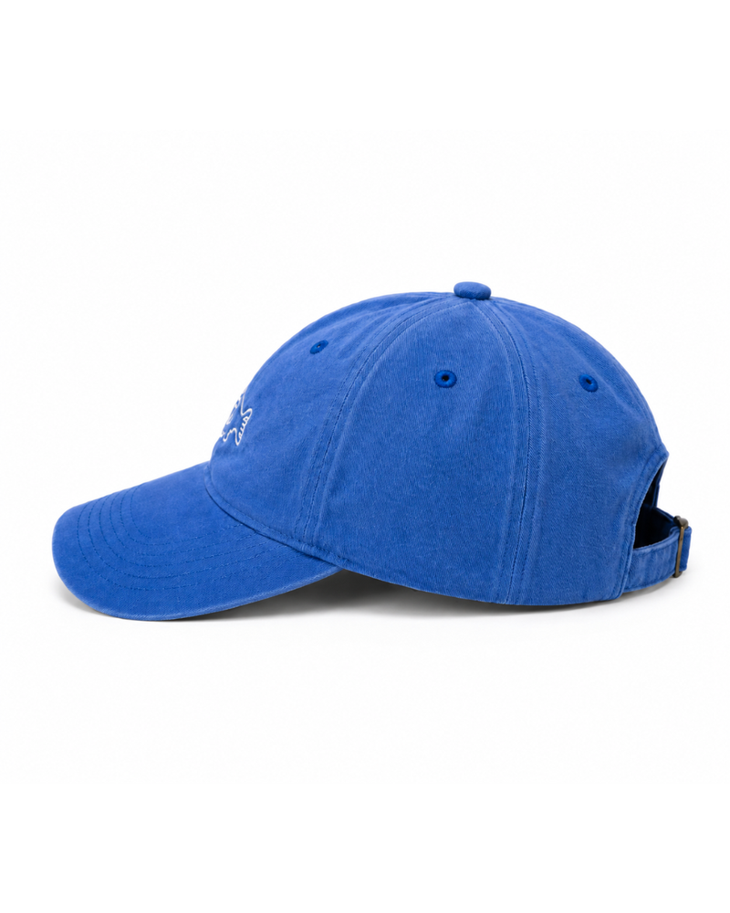 Fishy Bizz Cap