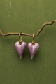 solea earring