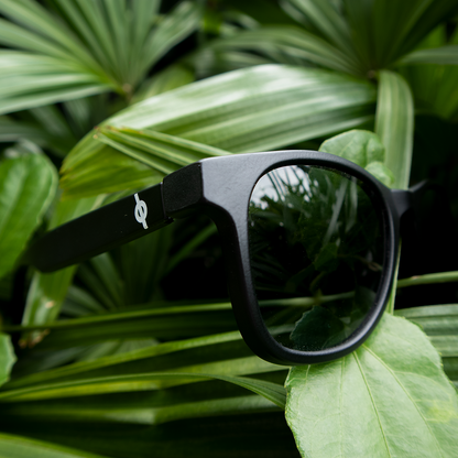 Sunglasses - Wayfarers - Black