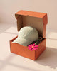 Fresh Start Gift Hamper