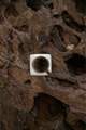 tetra ring