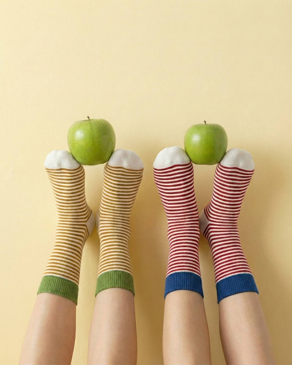 Candy Cane ( Pack of 3 ) Crew Socks