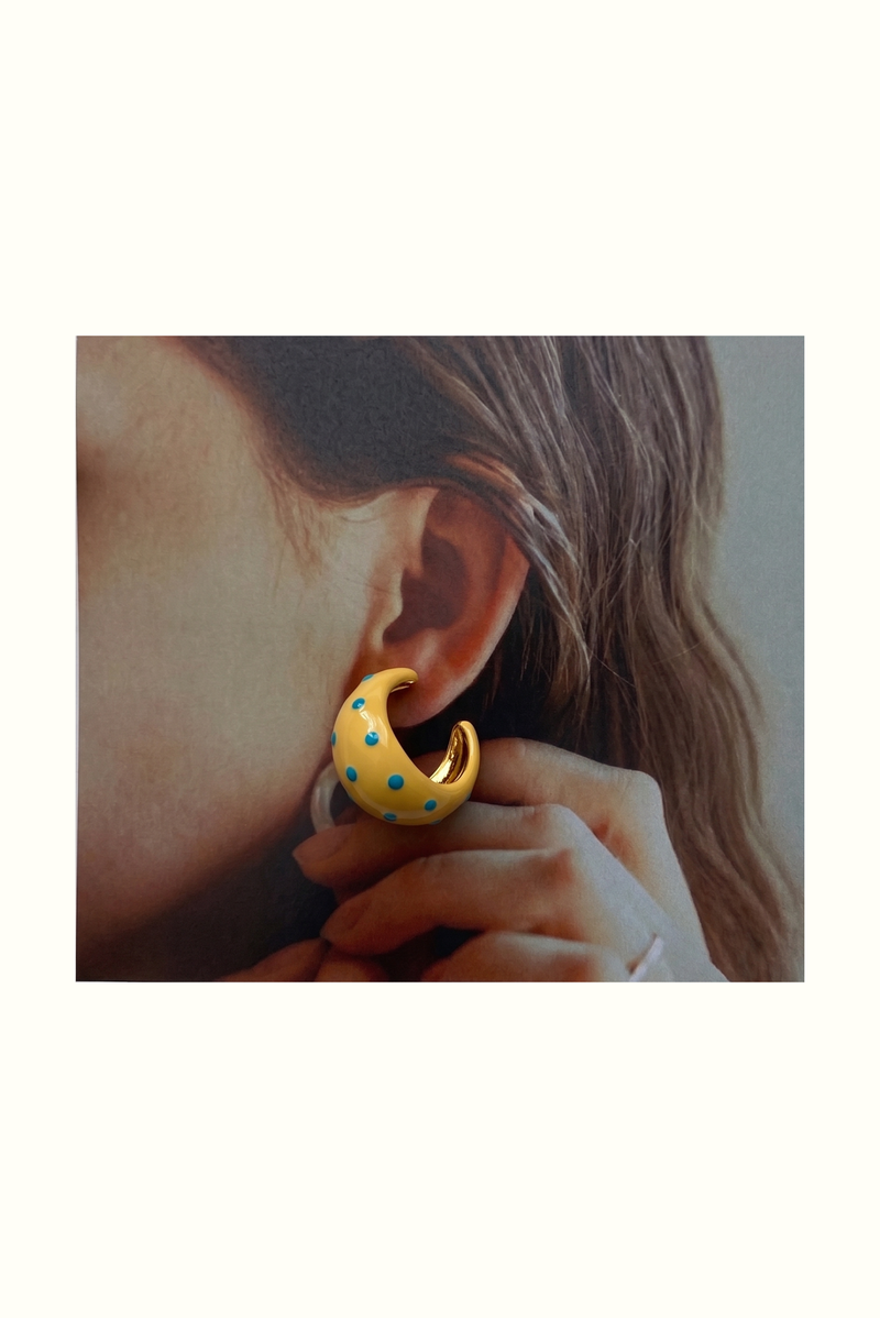 dani earring