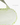 Key Lime Splash - Ecoright